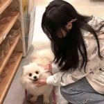 盟重英雄百度版本下载